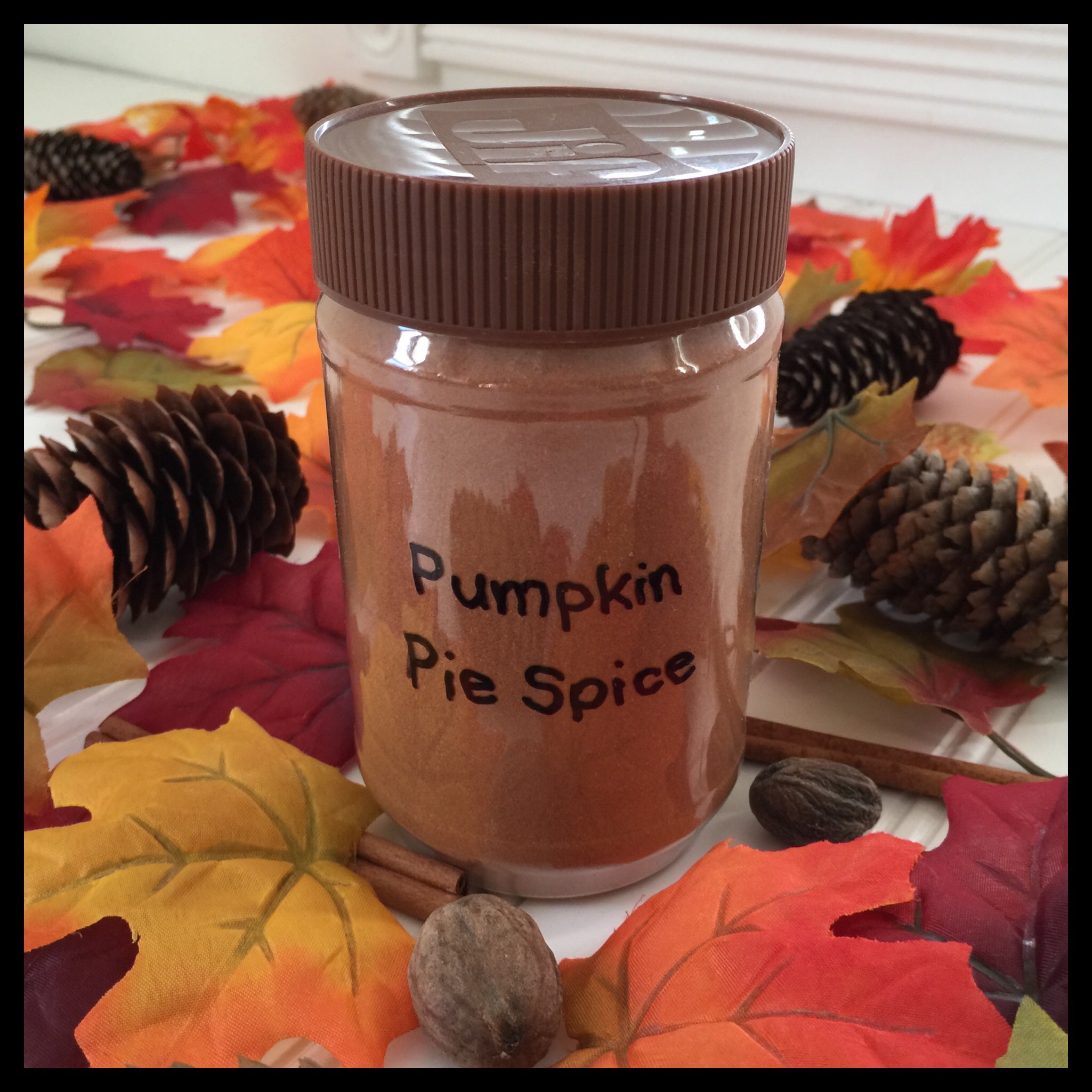 Pumpkin Pie Spice Vegan Kitchen Magick   Img 3089 