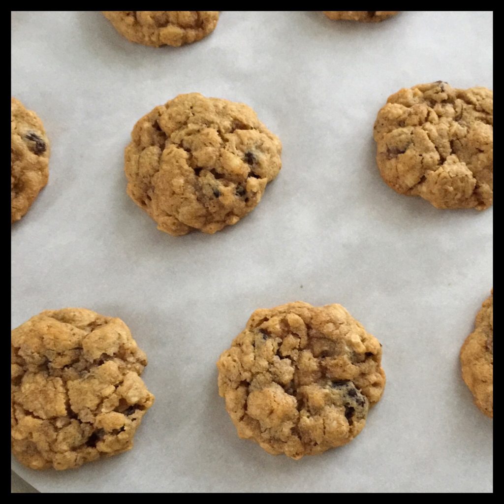 The Best Vegan (& Gluten Free) Oatmeal Cookies! – Vegan Kitchen Magick